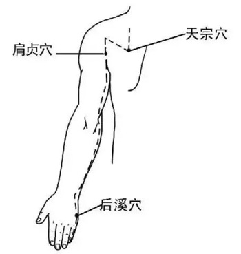 天宗穴