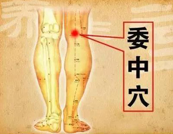 委中穴
