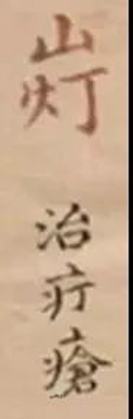 祝由十三科！