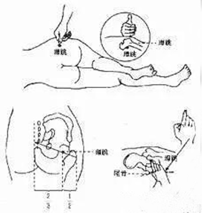 环跳穴