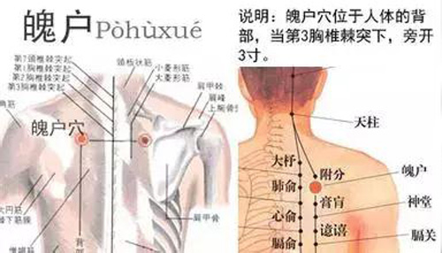 魄户穴