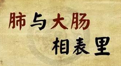 肺与大肠