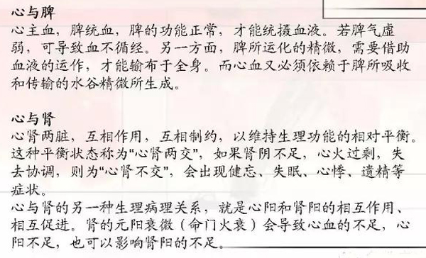 心与肾