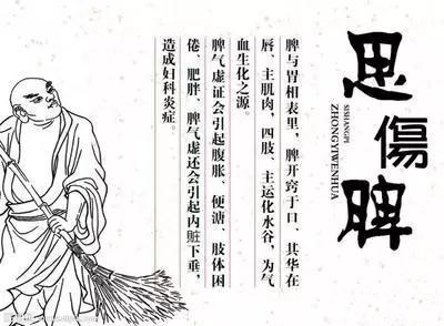 脾与肾