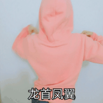龙首凤翼