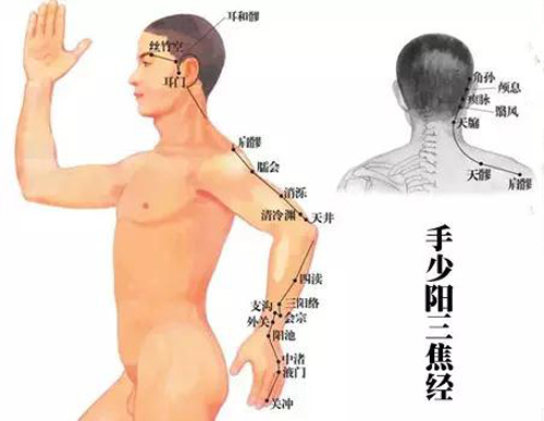 三焦经