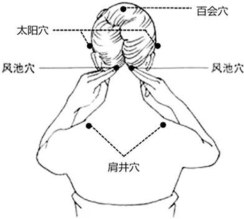 风池穴