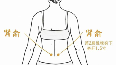 肾腧穴