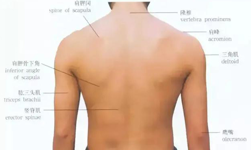 体表标志法