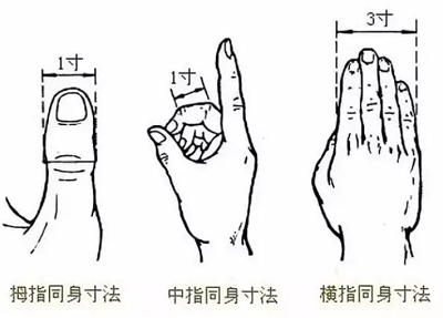 指寸取穴法