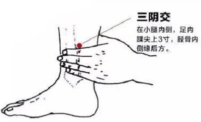 三阴交