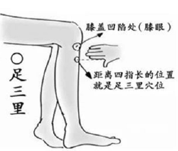 足三里