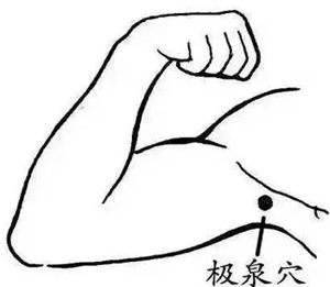 极泉穴