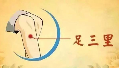 足三里穴