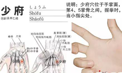 少府穴