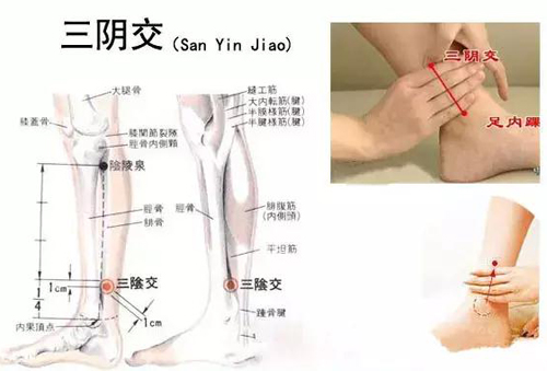 三阴交穴