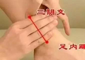 三阴交穴