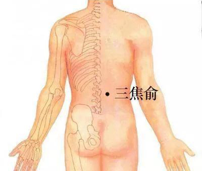 三焦俞