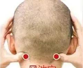风池穴