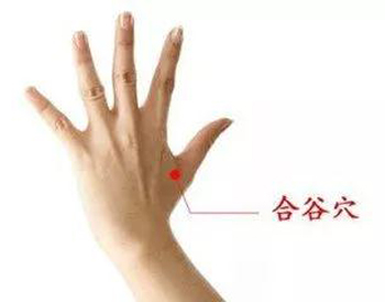 合谷穴
