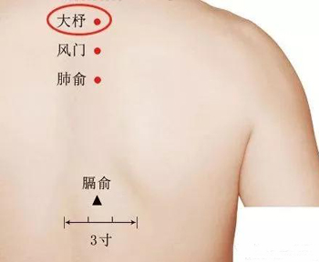 大杼穴