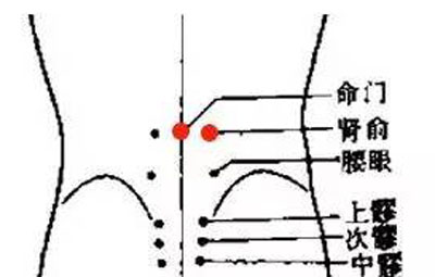 肾俞
