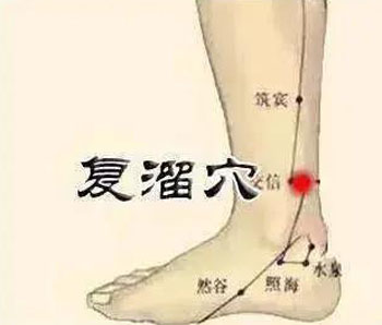 复溜穴