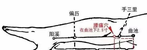 曲池穴