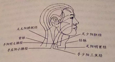 百会穴