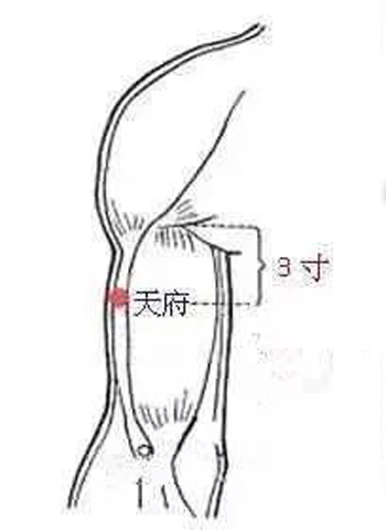 天府穴