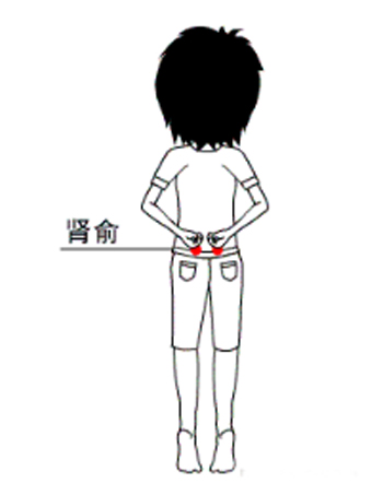 肾俞穴