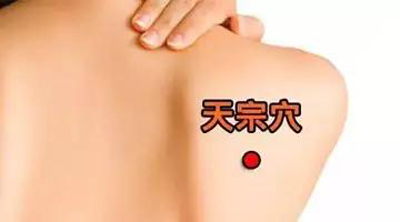 天宗穴