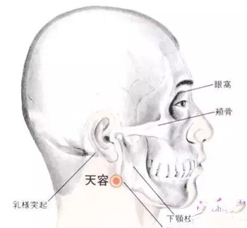 天容穴