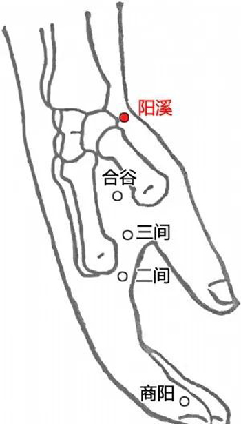 阳溪