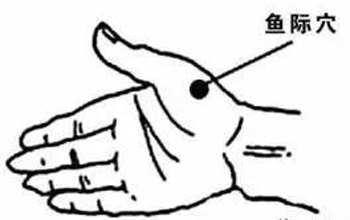 鱼际