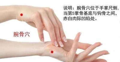 腕骨