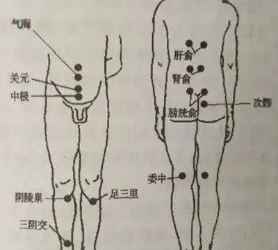 中极，关元，三阴交，膀胱俞穴