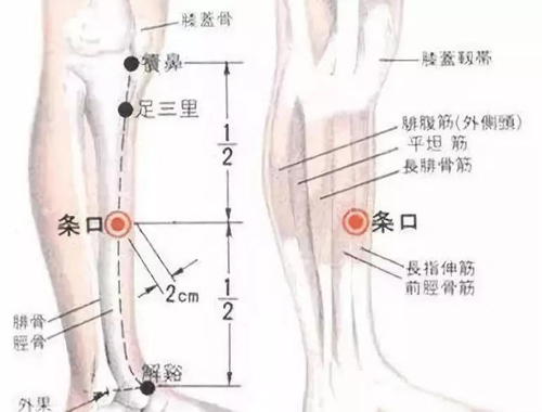 条口穴