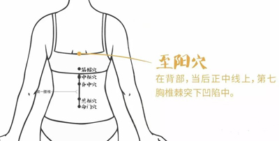 至阳穴