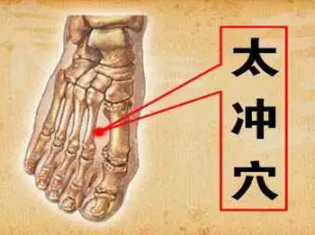 太冲穴