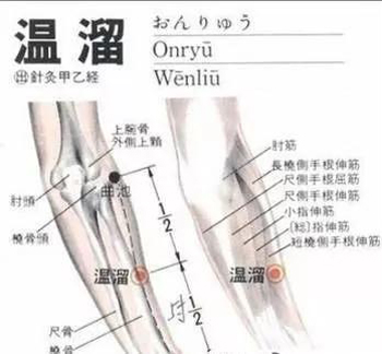 温溜穴