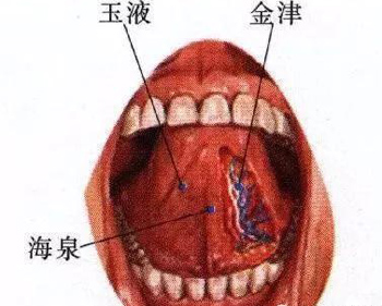 金津、玉液