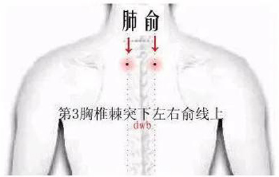 肺俞