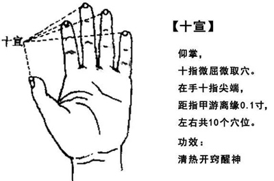 十宣