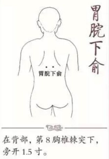 胃脘下俞