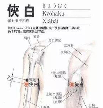 侠白穴