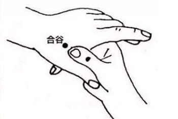 合谷穴