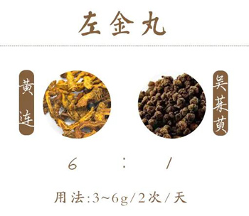 左金丸的用法