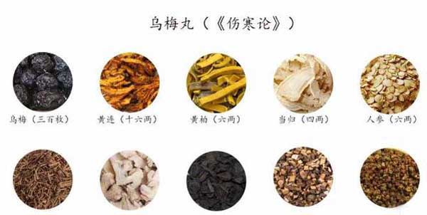 乌梅丸