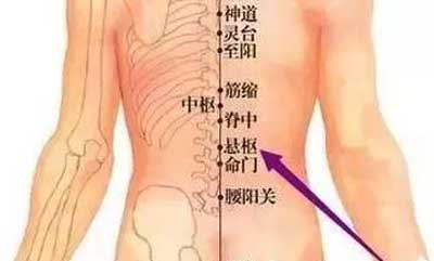 悬枢穴